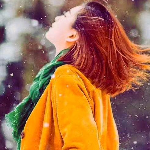 🌹不懂浪漫的猪🐖🐖