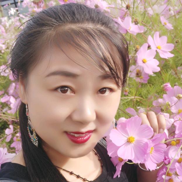 铲姐