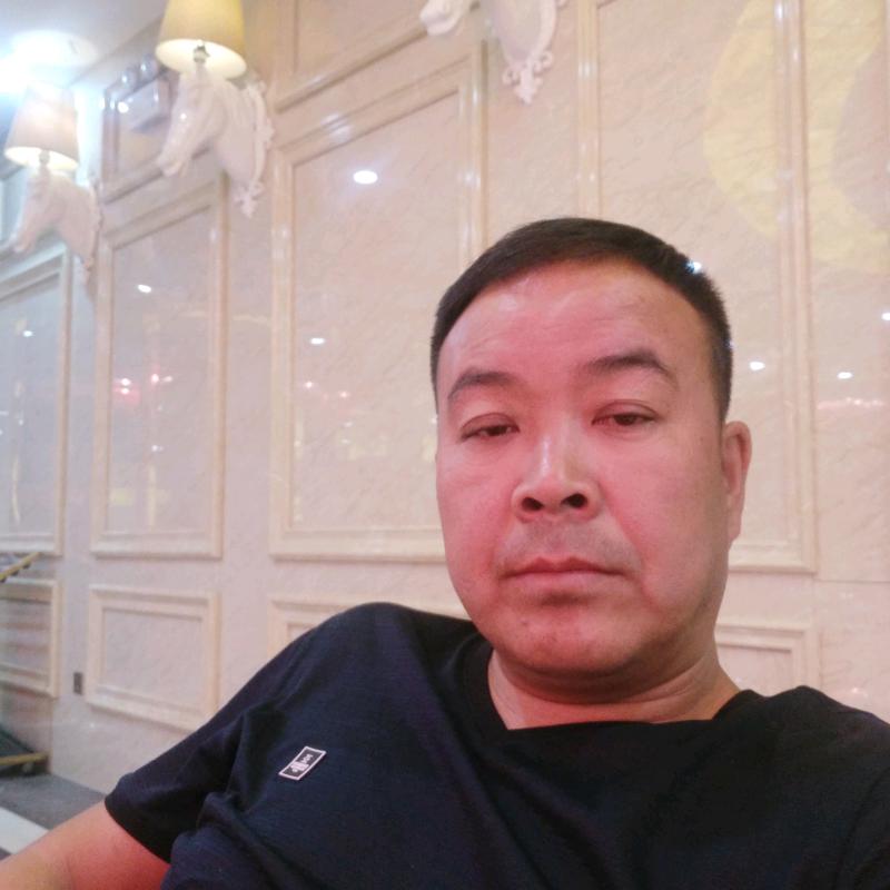 飞马汽车装璜