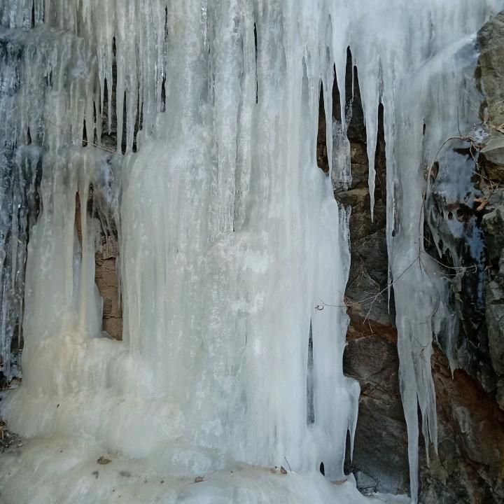 戊子庚寅（腊八）