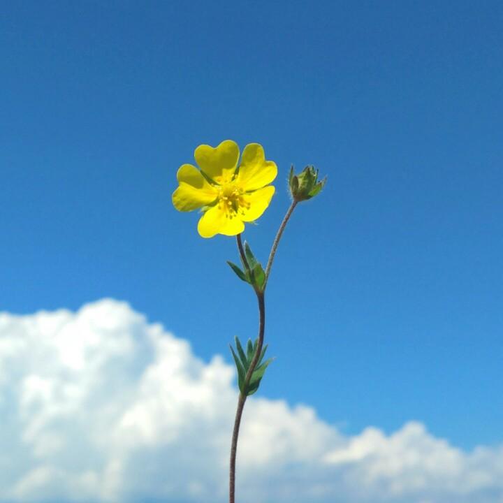 解忧