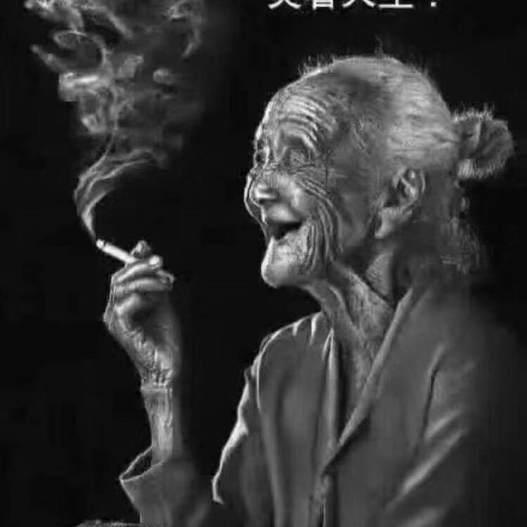 菩提恋
