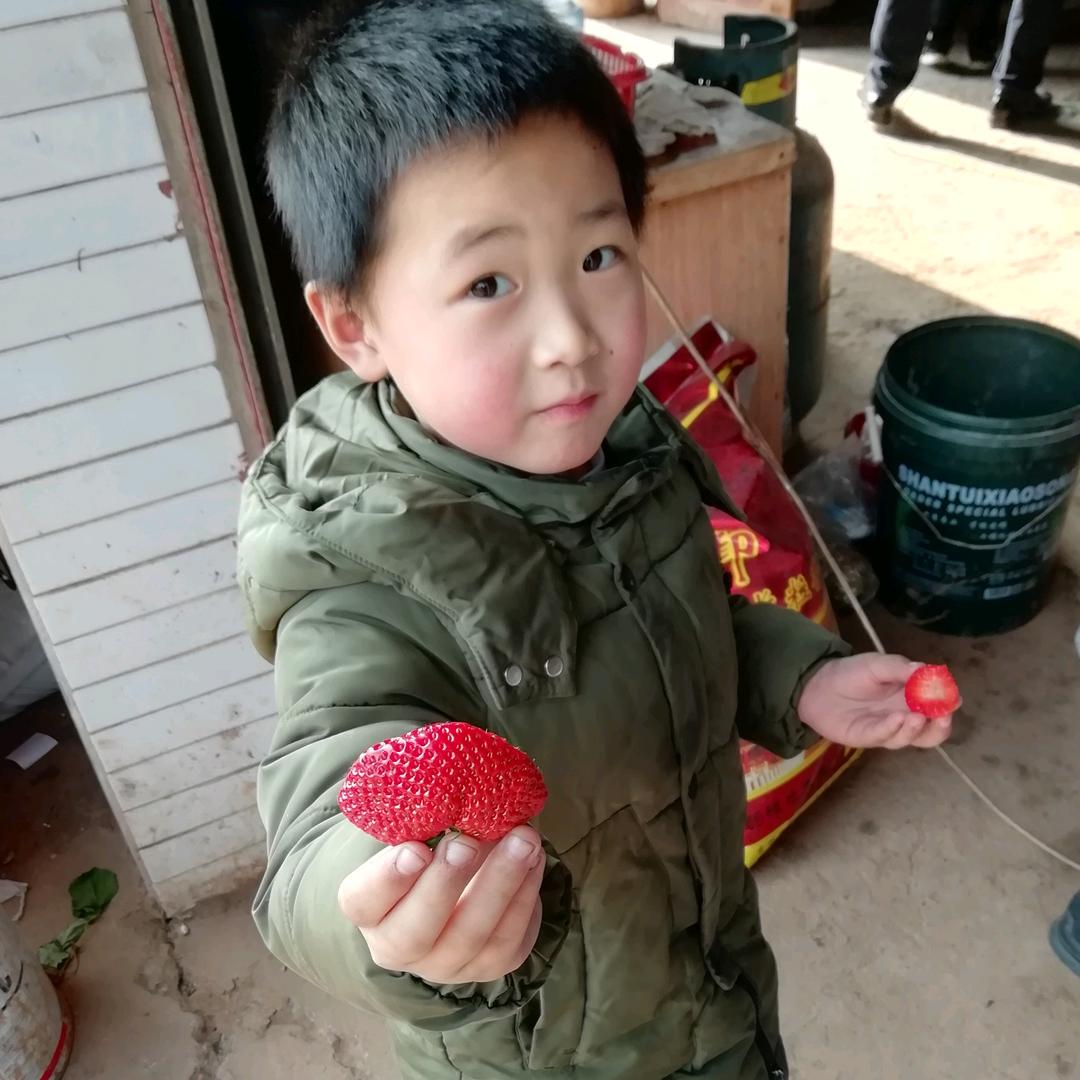 一物降一物