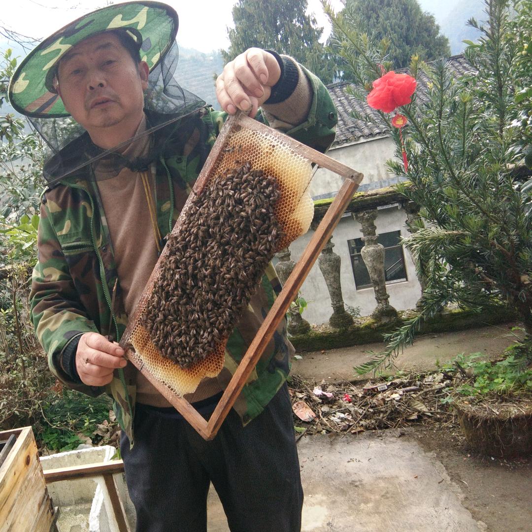 新大大