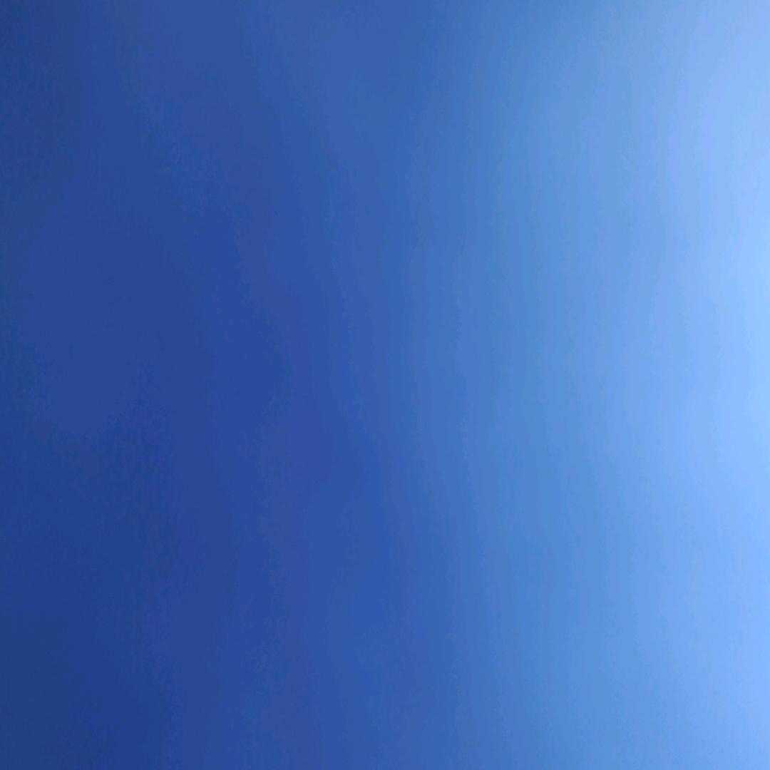 诗洁