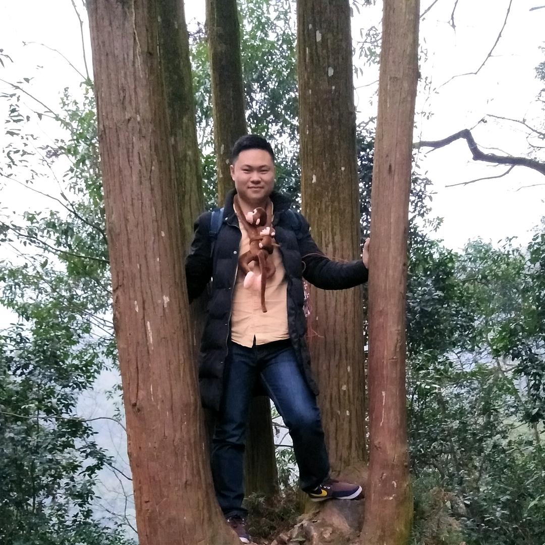 梦里不知身是客