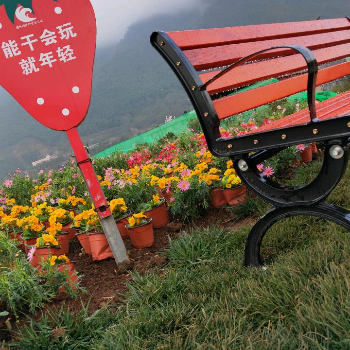 花花