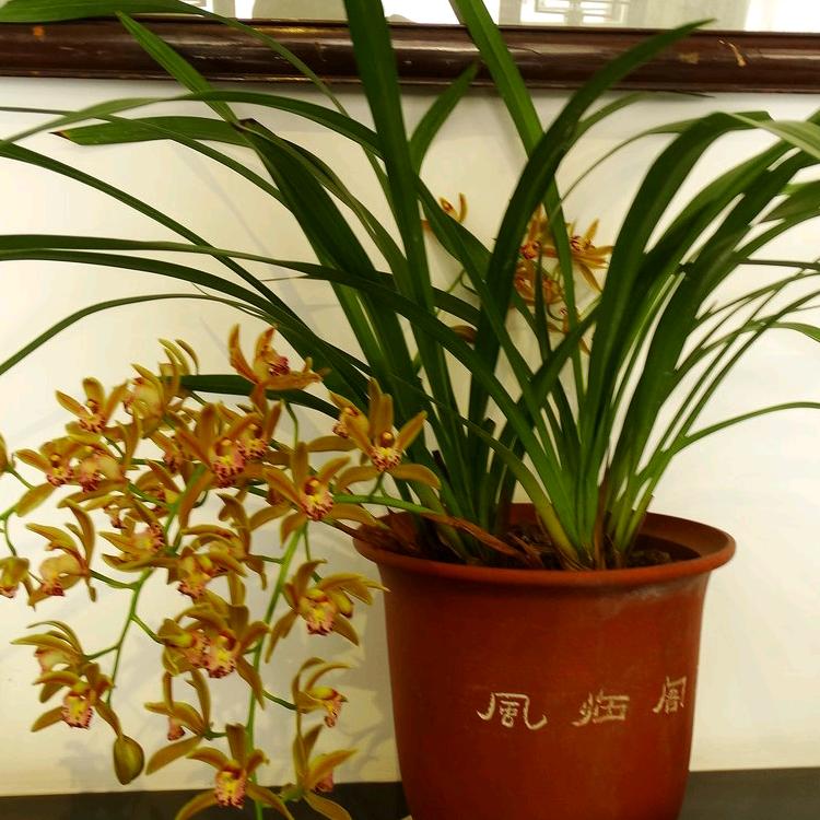 风里雨里与你同行