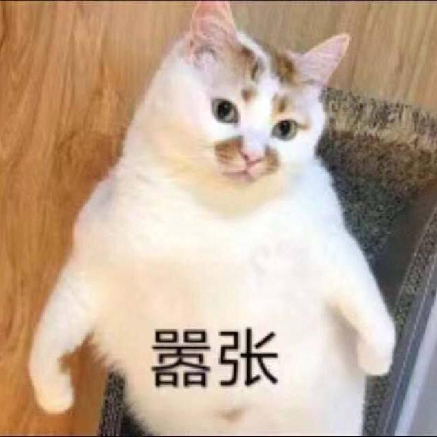 纳斯尔