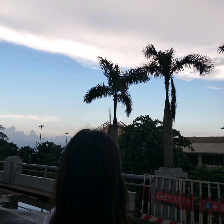 Zhaohong丽