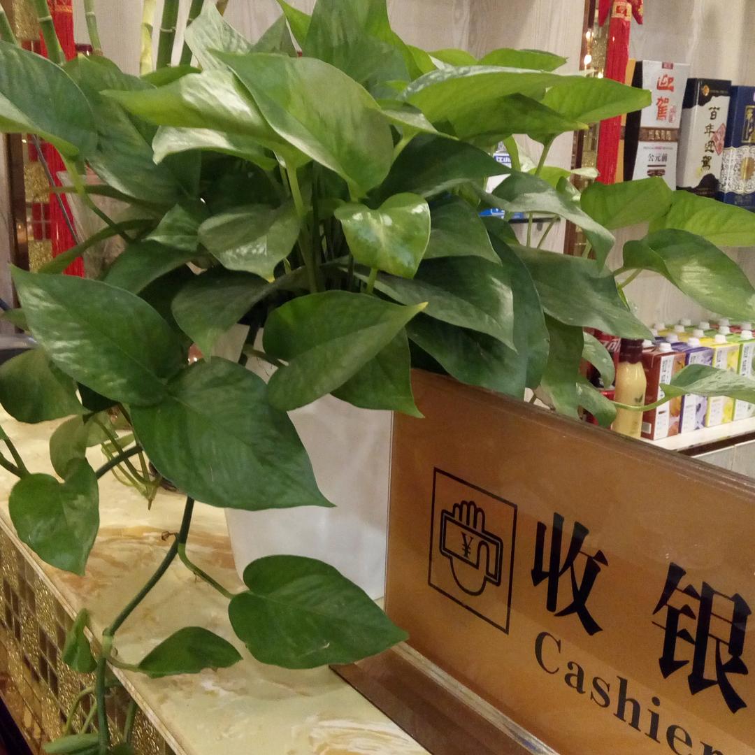 荣荣