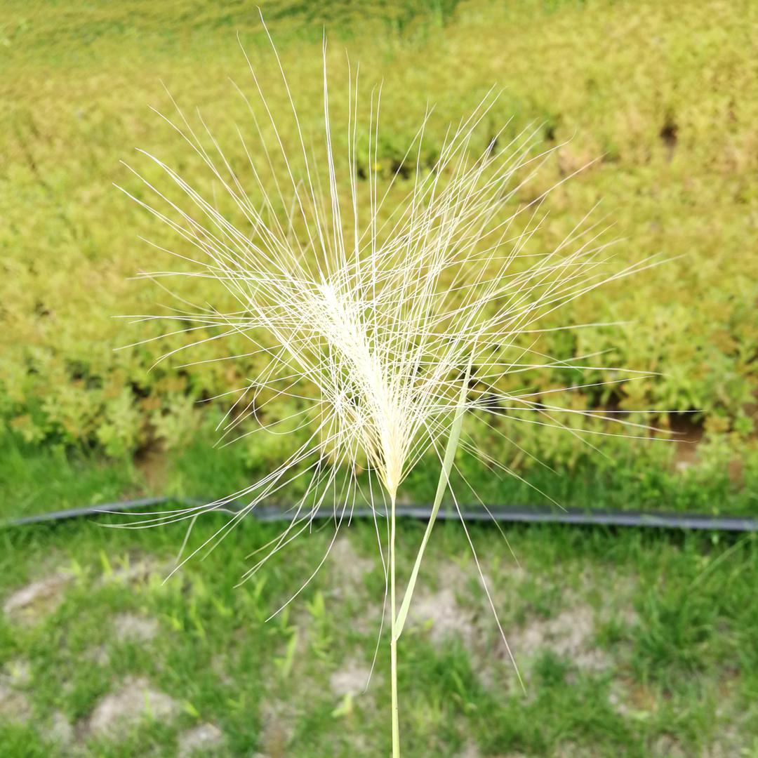 起个名