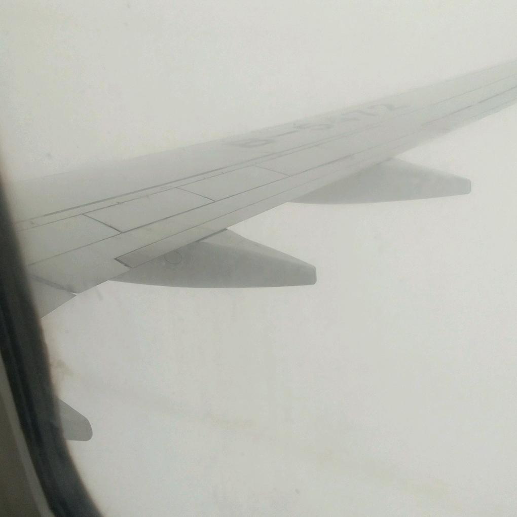 那年那山有牦牛