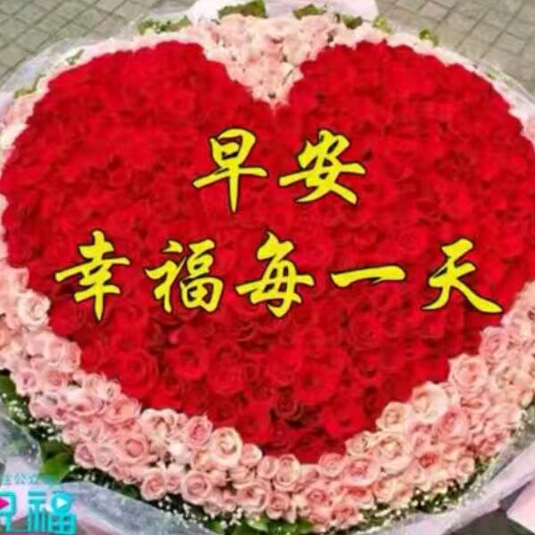 幸福一生🌺