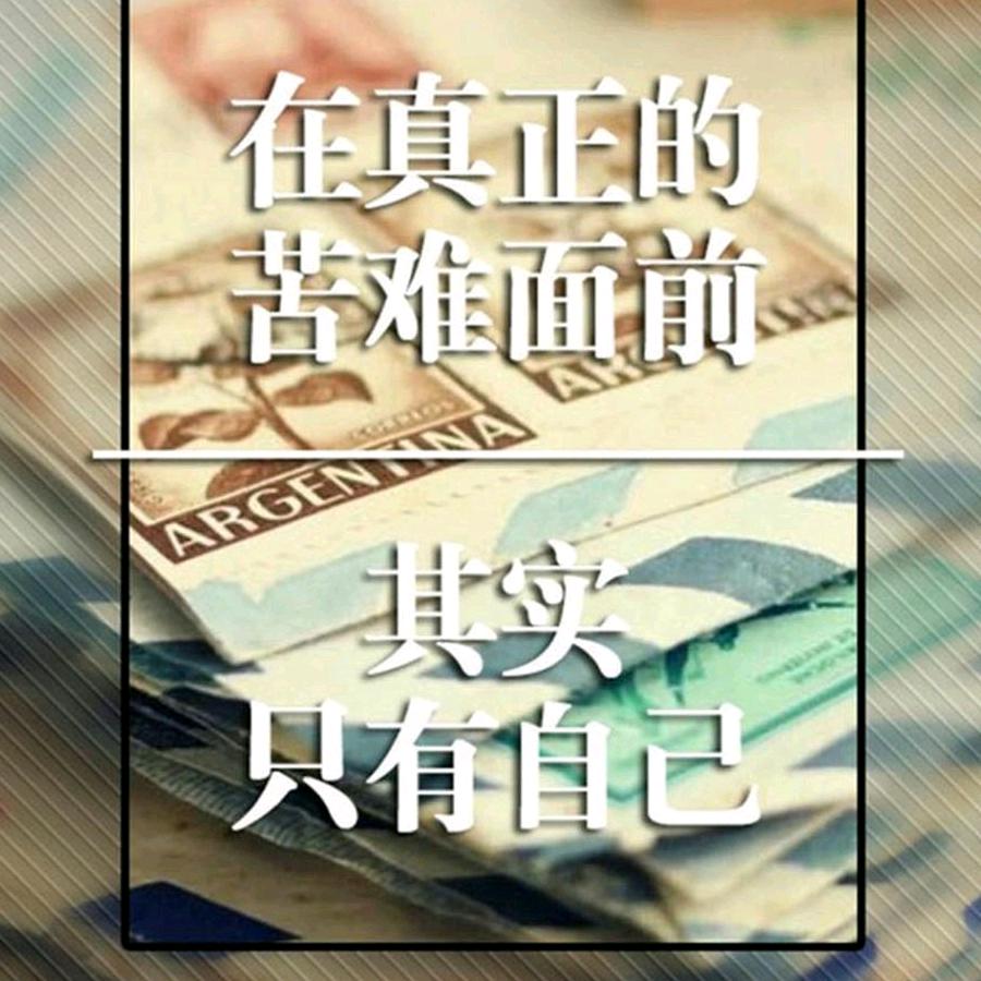 随缘shlw