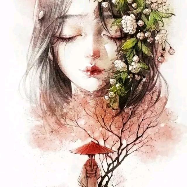 柒  二