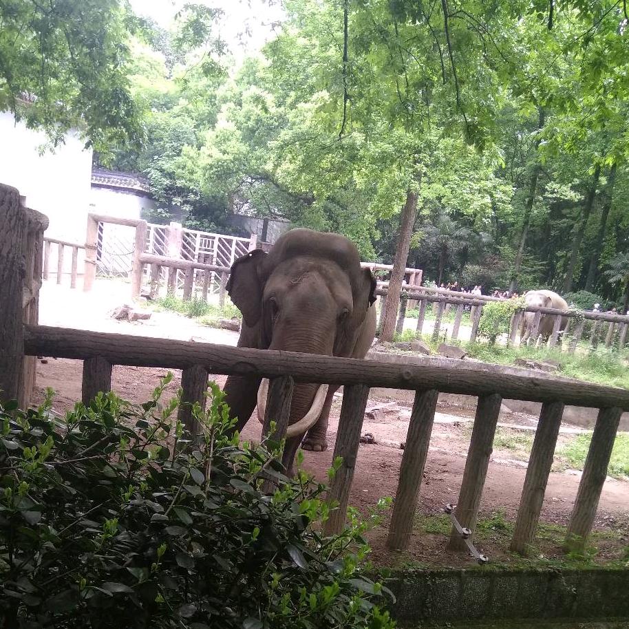 岁ꦿᮨ້໌月如故᭄໊໊