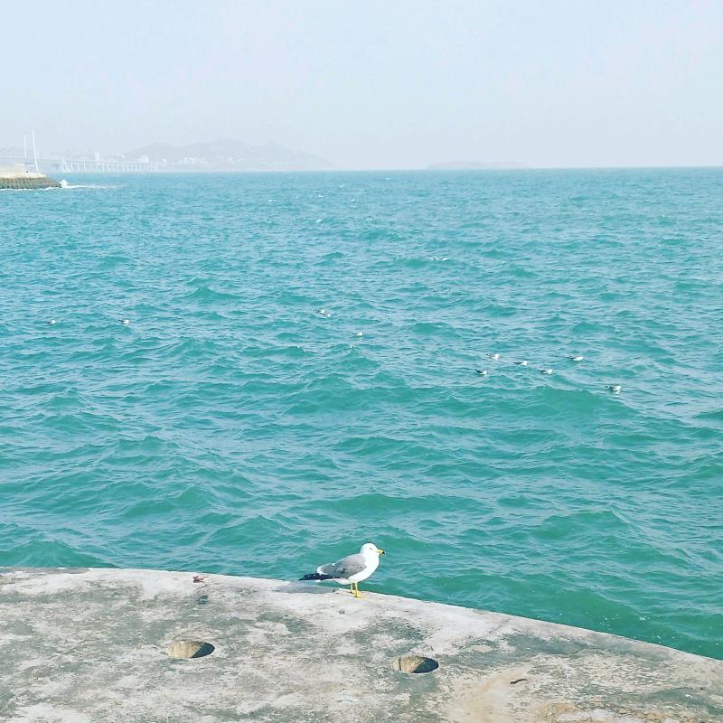 荣成依海听风