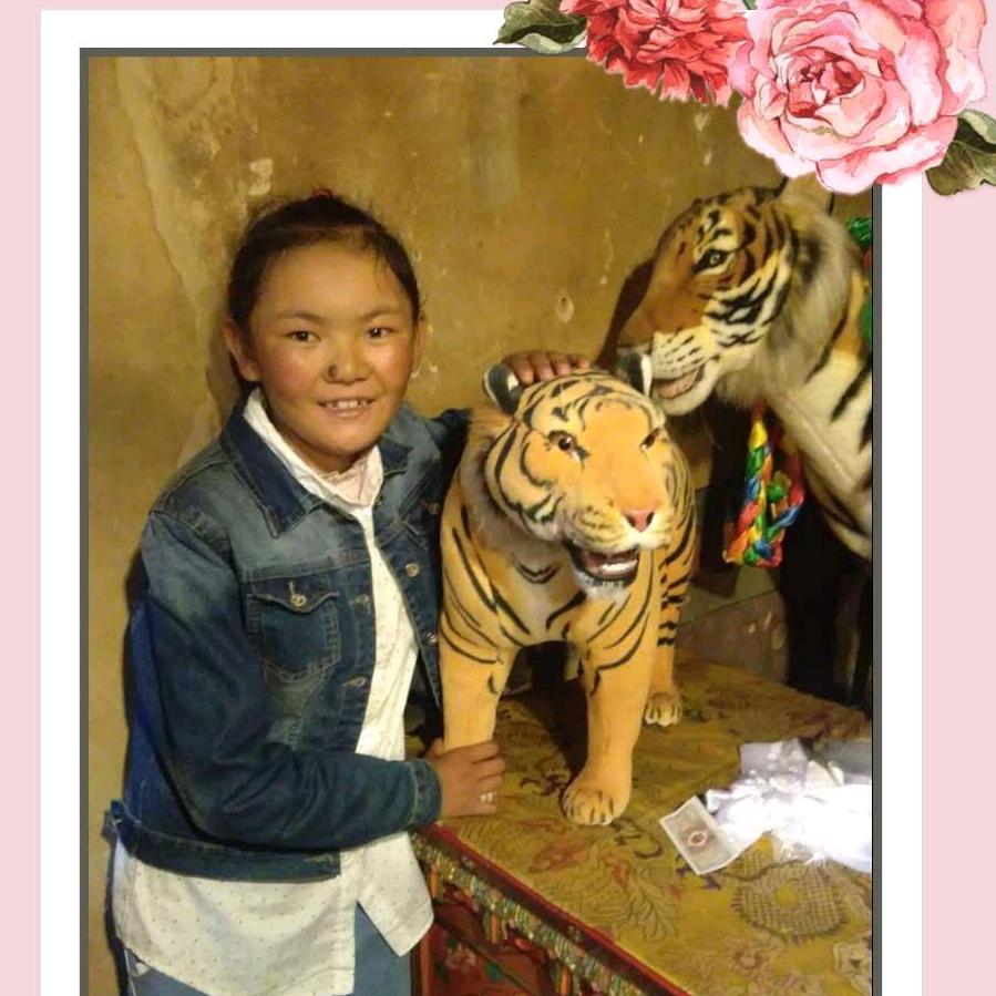 小迷妹