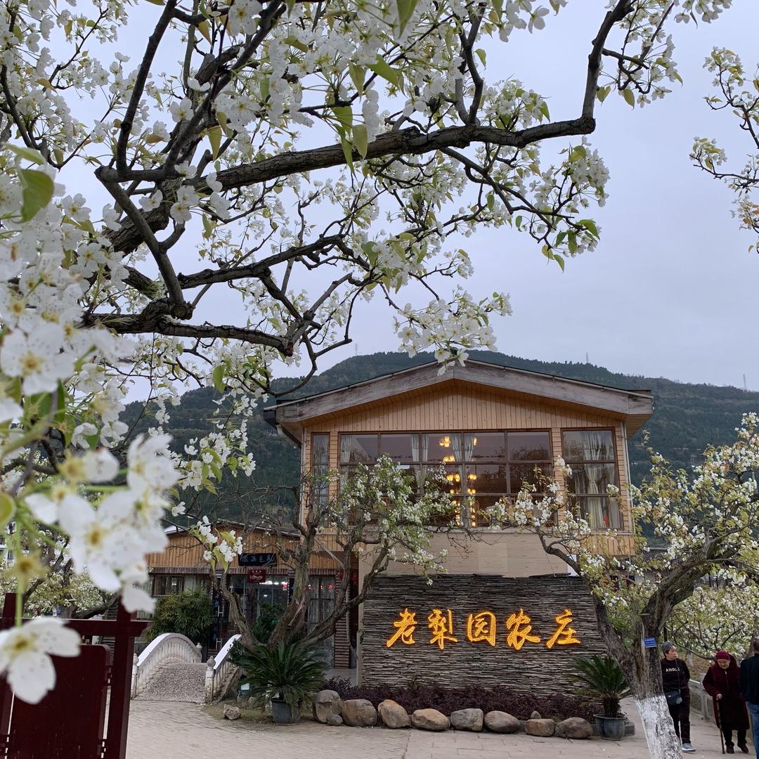 苍溪县江南岸一品汤锅馆