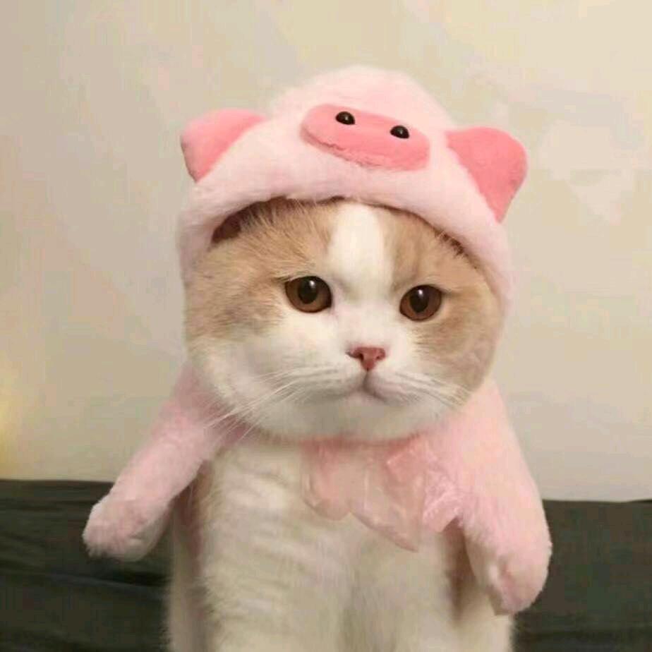 余生爱自己