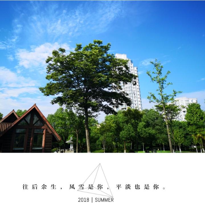 桐乡安绮国际电商学校