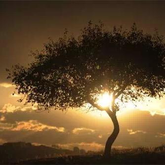 流浪在非洲的小姐姐