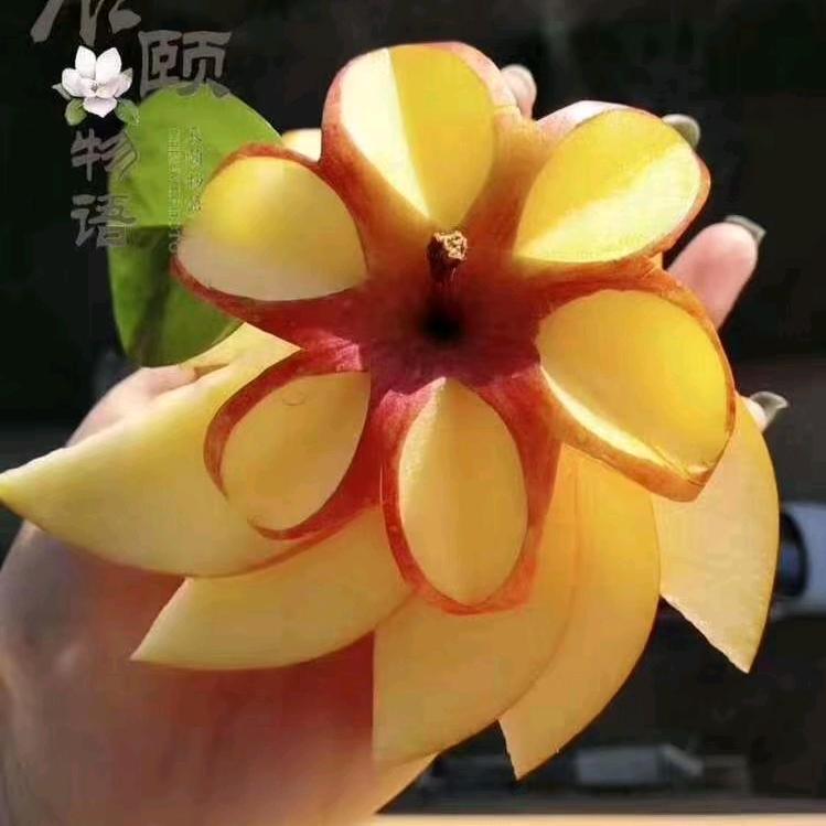 C 柠檬🍋
