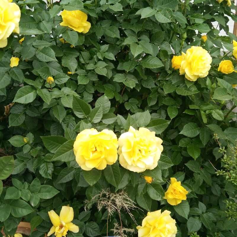 缘分让我爱上你