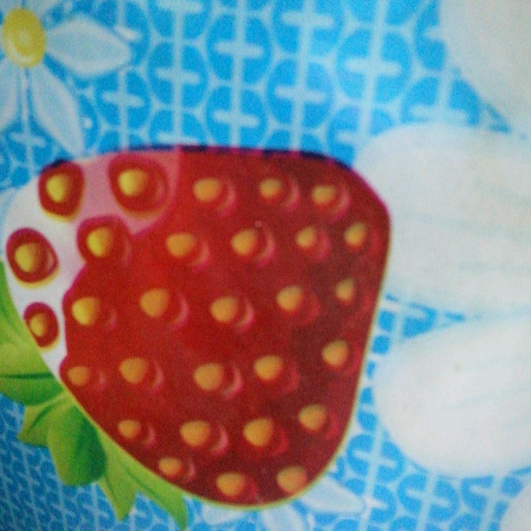 红菊