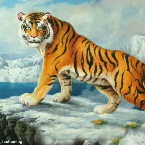 家装粉刷工老张