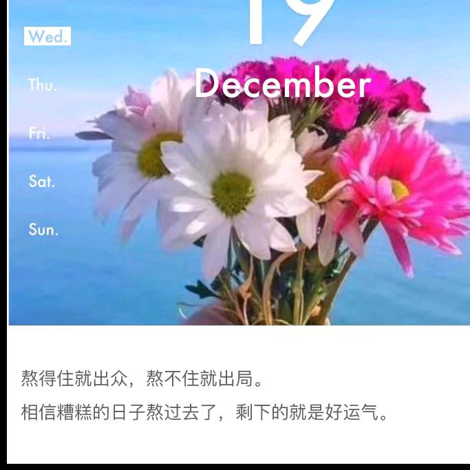 ﹎梦醒的夏天╰╯