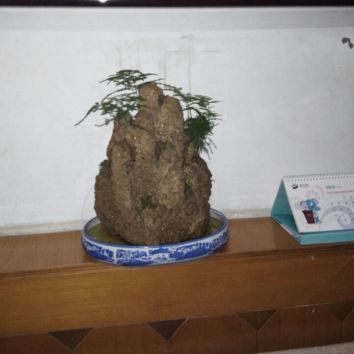 娟子
