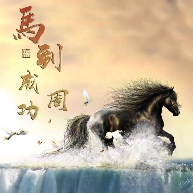 光头哥(家电、家居)