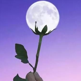 蝶无需花恋^O^