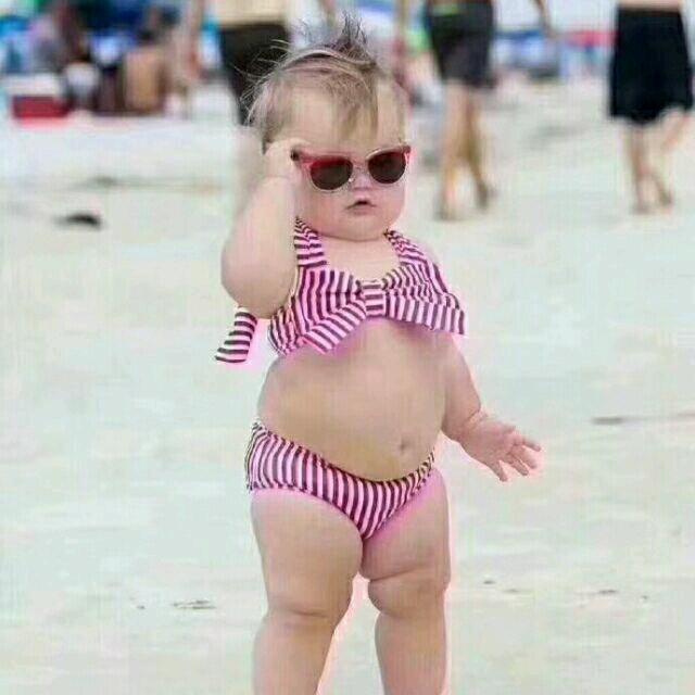 菩提树下种菩提