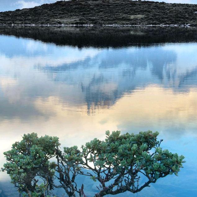 南柯✪ω✪一梦