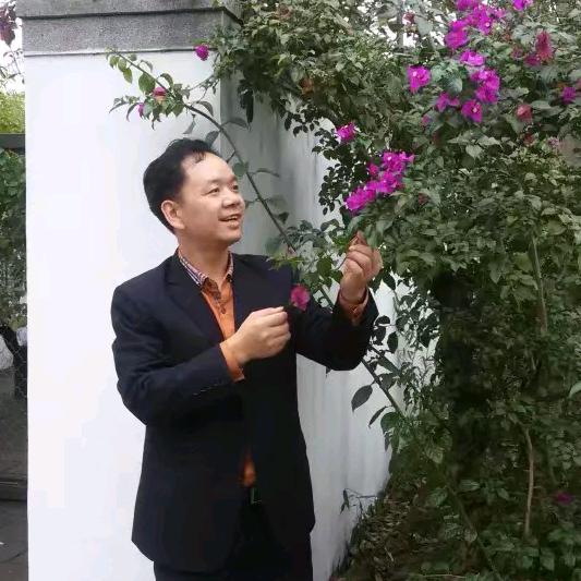 天空雄鹰—专注水果人