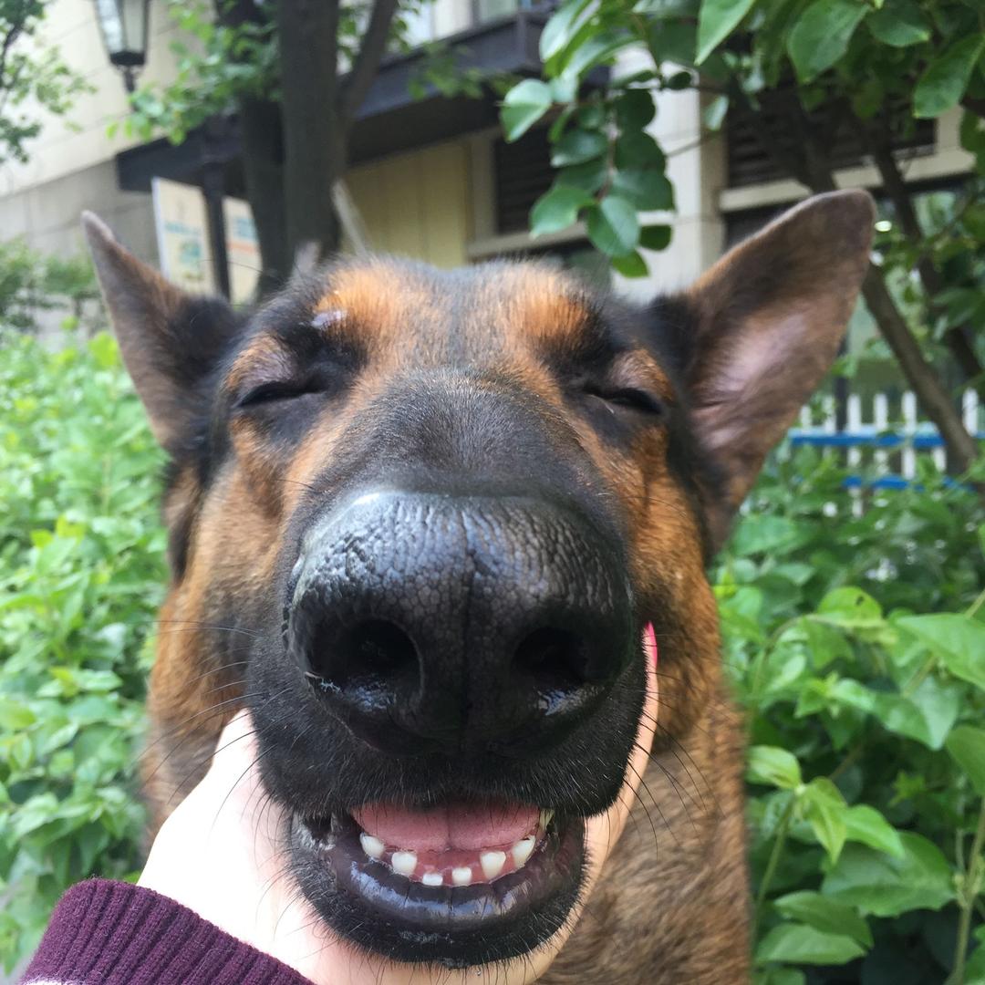 折耳根的天哥@抖音