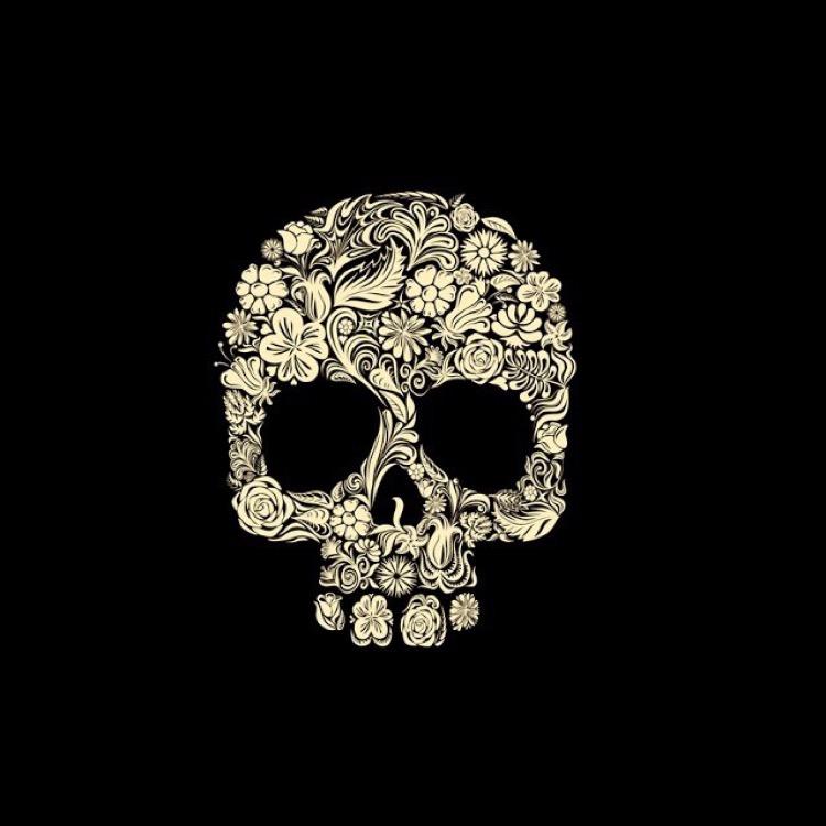 ..小骷髅☠️