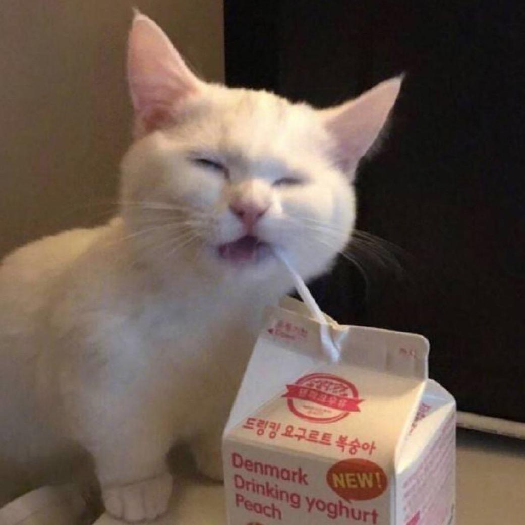凶柿儿