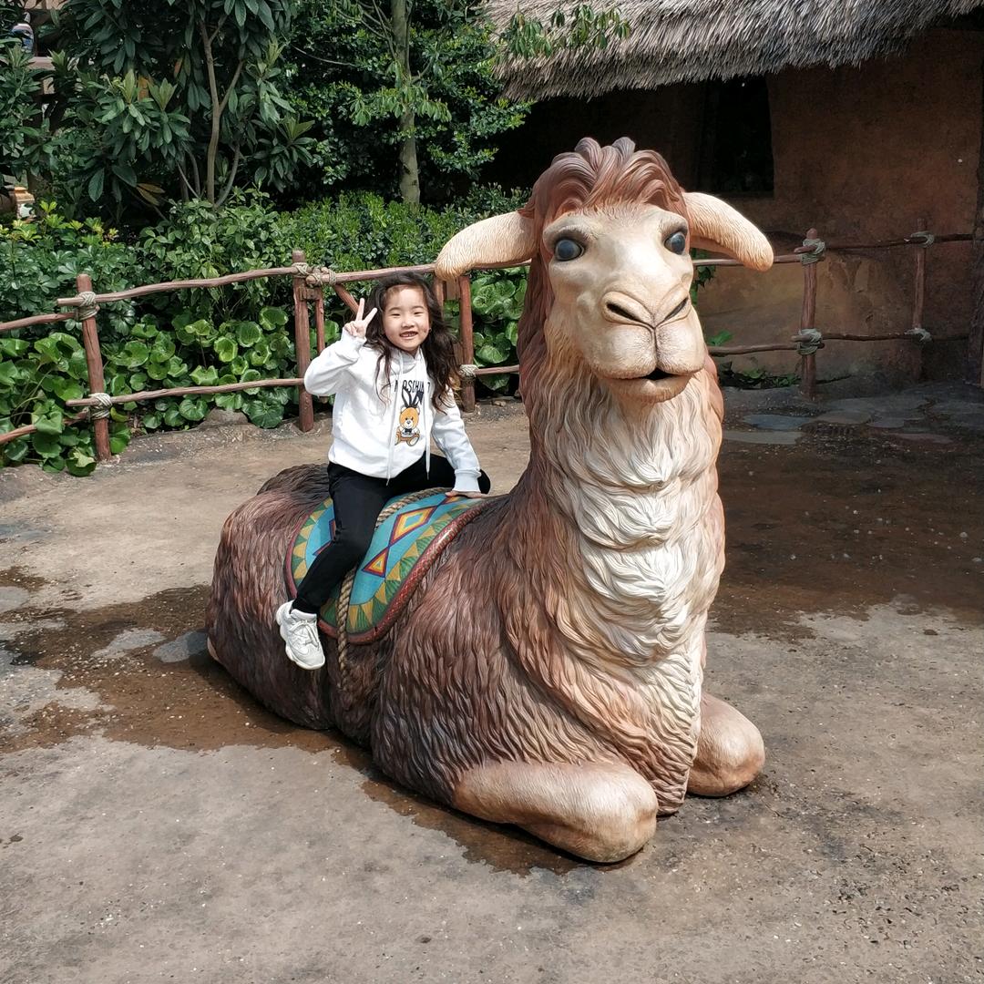 小马三清真烧饼里脊（可教学）