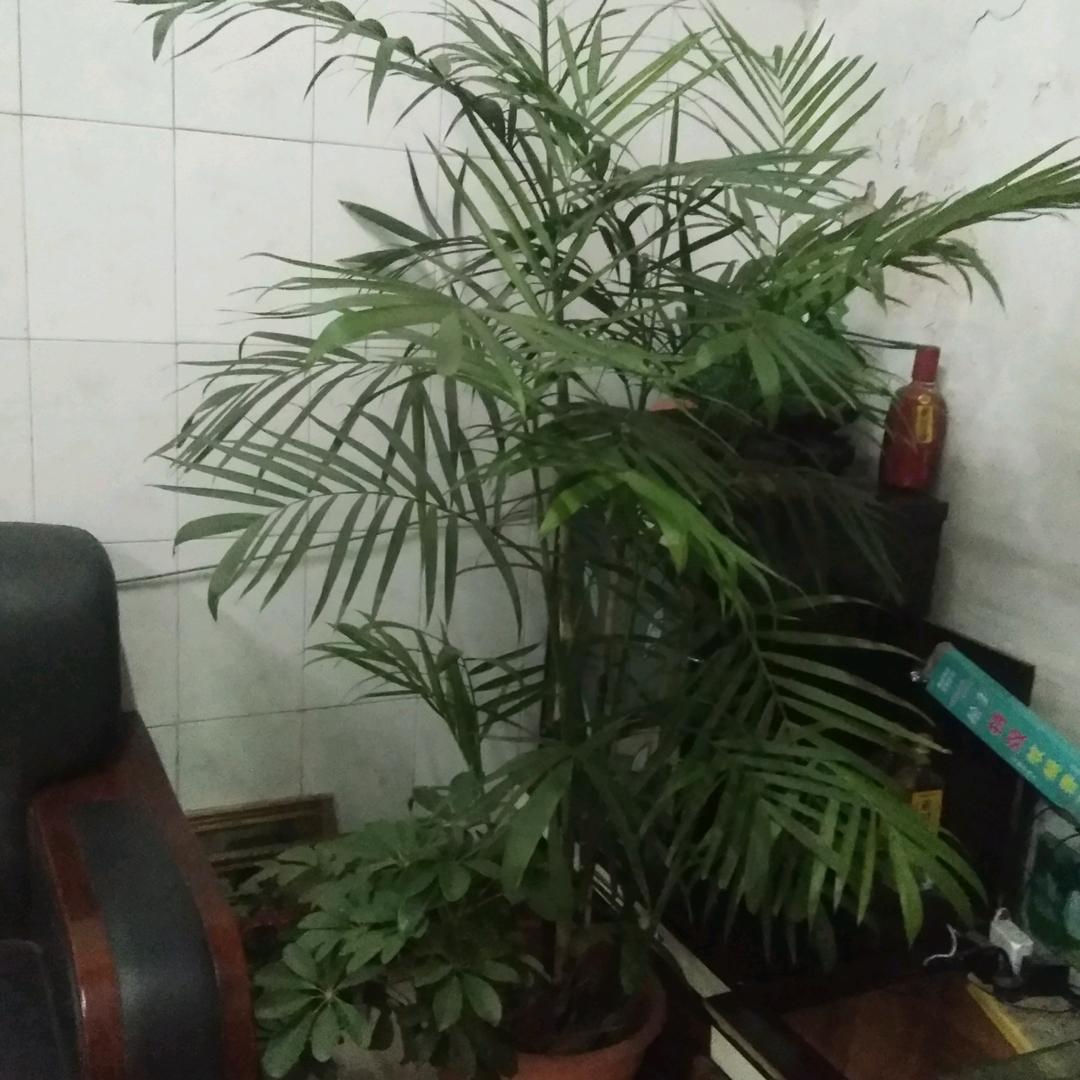 大家好，东营，利津