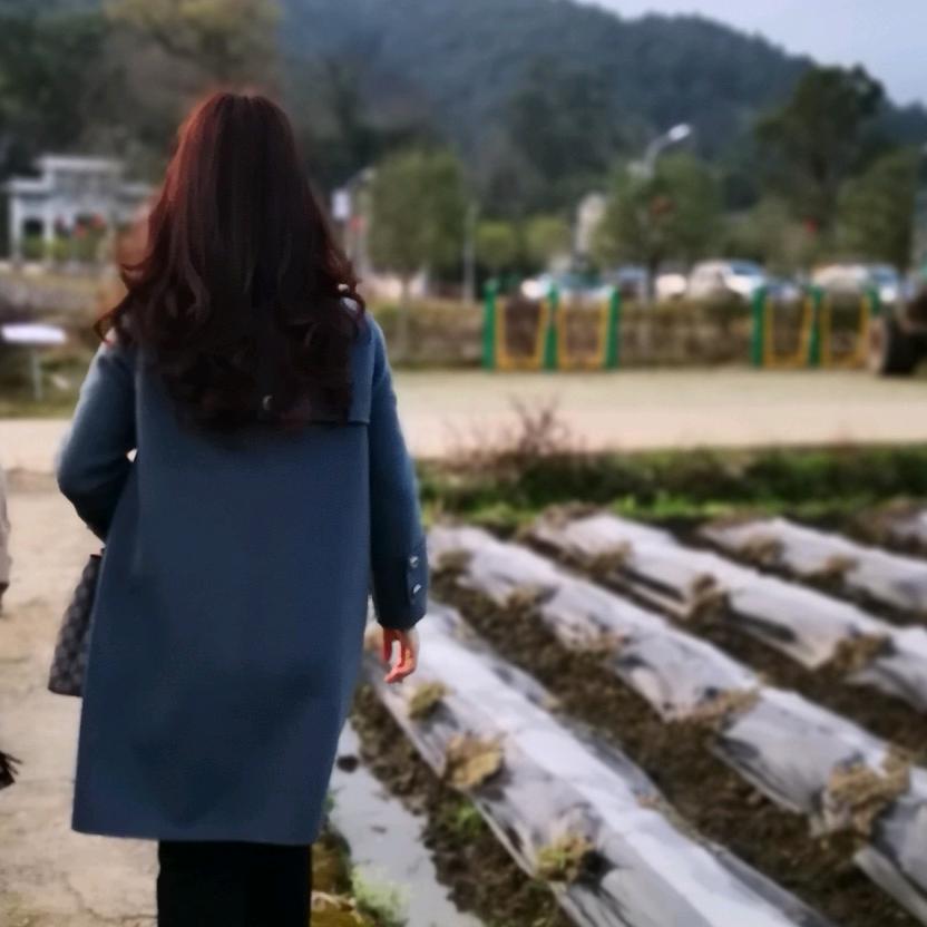 阳光明媚
