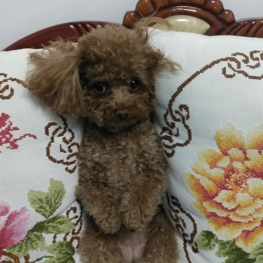 萧然