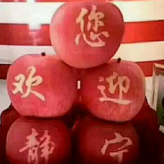 静宁果农