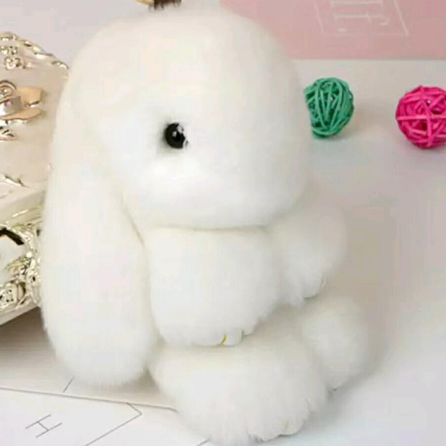 懂得珍惜，才配拥有