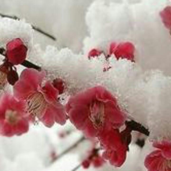 儒厨宴席承包酒席1345339351