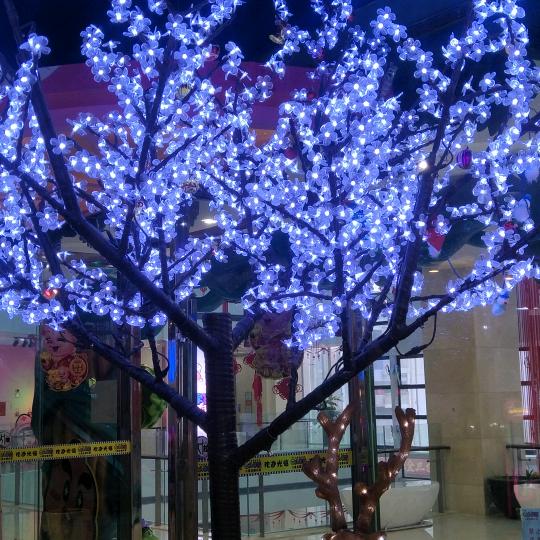 我欠你啥子嘛，我的命中注定