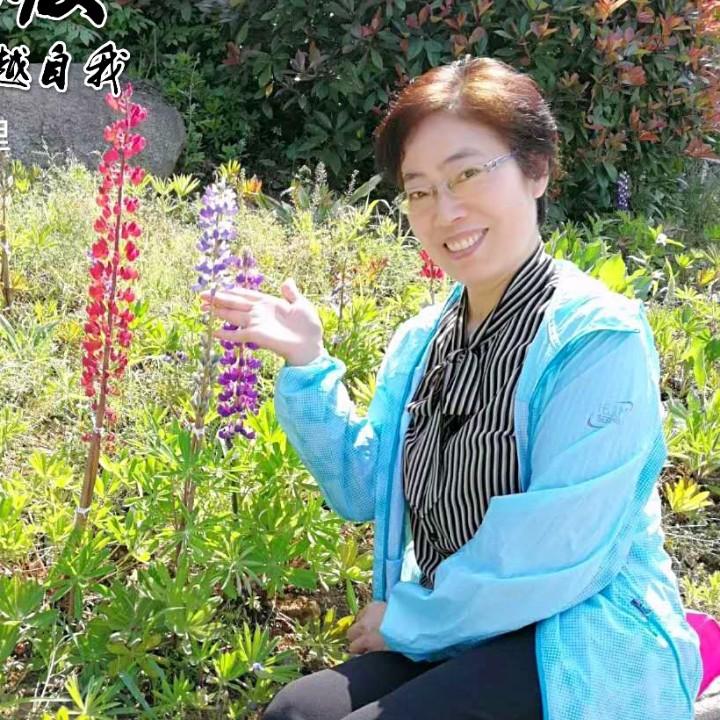秋枫